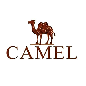 CAMEL韩叶